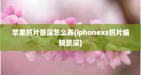 苹果照片景深怎么弄(iphonexs照片编辑景深)