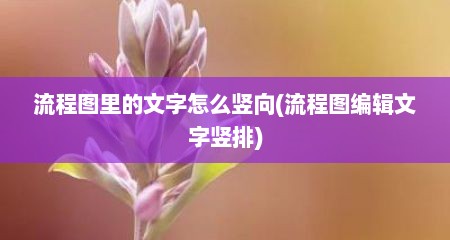 流程图里的文字怎么竖向(流程图编辑文字竖排)