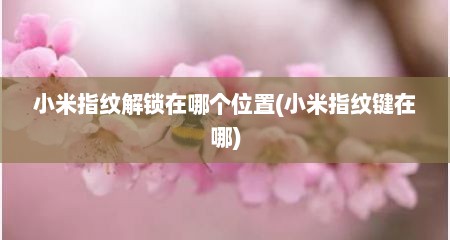小米指纹解锁在哪个位置(小米指纹键在哪)