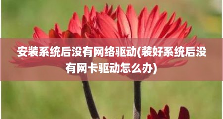 安装系统后没有网络驱动(装好系统后没有网卡驱动怎么办)