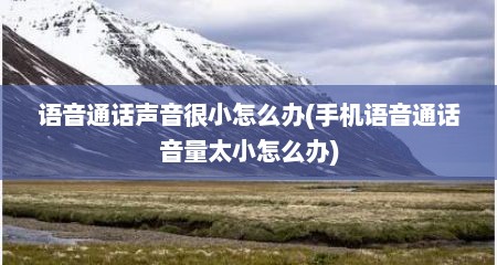 语音通话声音很小怎么办(手机语音通话音量太小怎么办)