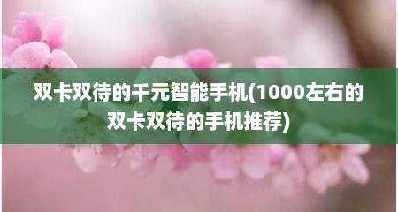 双卡双待的千元智能手机(1000左右的双卡双待的手机推荐)