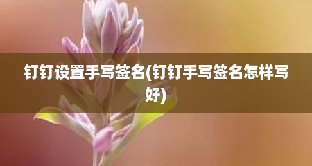 钉钉设置手写签名(钉钉手写签名怎样写好)