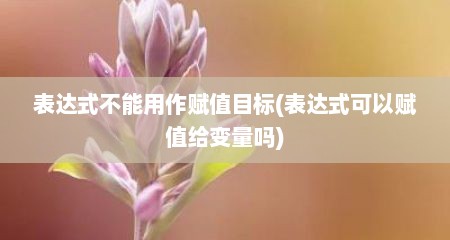表达式不能用作赋值目标(表达式可以赋值给变量吗)