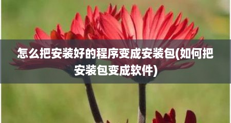 怎么把安装好的程序变成安装包(如何把安装包变成软件)