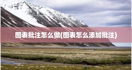 图表批注怎么做(图表怎么添加批注)