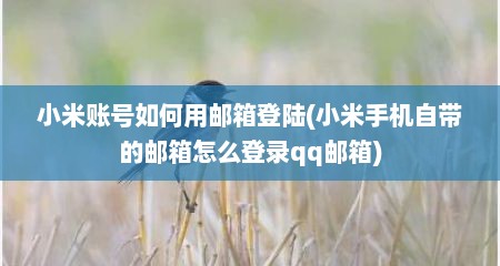 小米账号如何用邮箱登陆(小米手机自带的邮箱怎么登录qq邮箱)