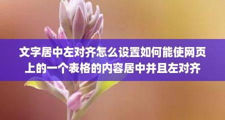 文字居中左对齐怎么设置如何能使网页上的一个表格的内容居中并且左对齐