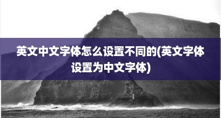 英文中文字体怎么设置不同的(英文字体设置为中文字体)