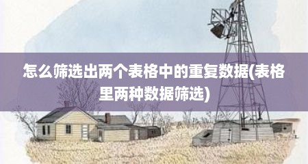 怎么筛选出两个表格中的重复数据(表格里两种数据筛选)