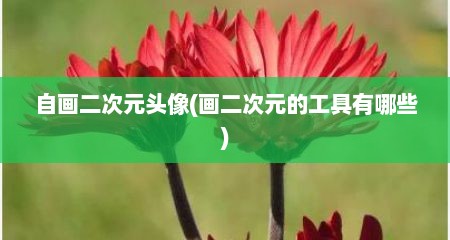 自画二次元头像(画二次元的工具有哪些)