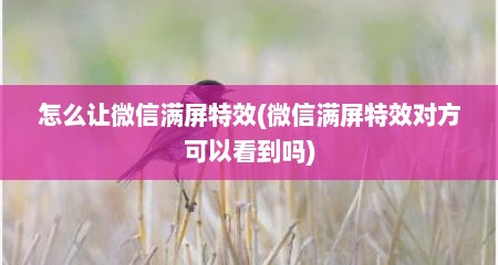 怎么让微信满屏特效(微信满屏特效对方可以看到吗)