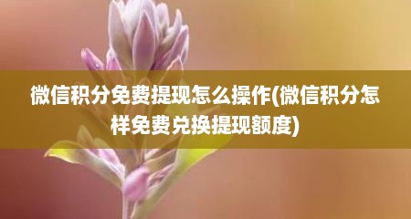 微信积分免费提现怎么操作(微信积分怎样免费兑换提现额度)