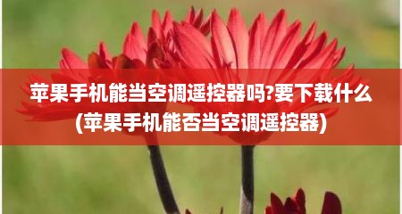 苹果手机能当空调遥控器吗?要下载什么(苹果手机能否当空调遥控器)