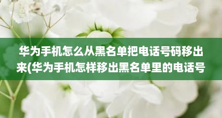 华为手机怎么从黑名单把电话号码移出来(华为手机怎样移出黑名单里的电话号码)