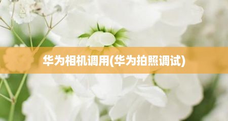 华为相机调用(华为拍照调试)
