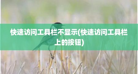 快速访问工具栏不显示(快速访问工具栏上的按钮)