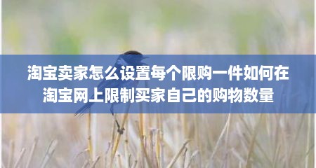 淘宝卖家怎么设置每个限购一件如何在淘宝网上限制买家自己的购物数量