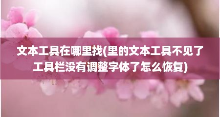 文本工具在哪里找(里的文本工具不见了工具栏没有调整字体了怎么恢复)