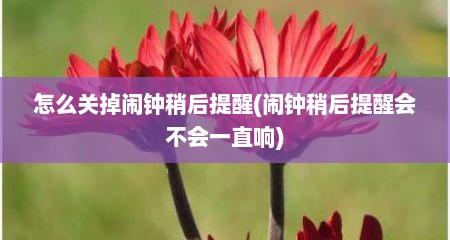 怎么关掉闹钟稍后提醒(闹钟稍后提醒会不会一直响)