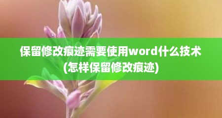 保留修改痕迹需要使用word什么技术(怎样保留修改痕迹)