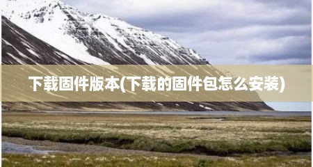 下载固件版本(下载的固件包怎么安装)
