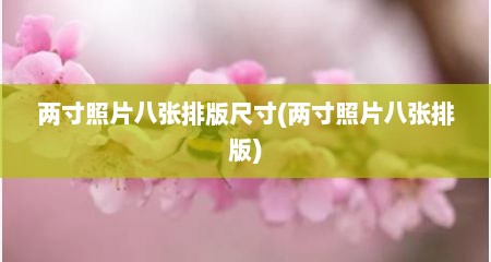 两寸照片八张排版尺寸(两寸照片八张排版)