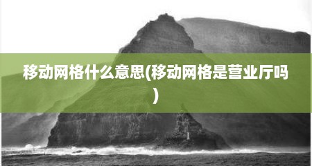 移动网格什么意思(移动网格是营业厅吗)