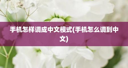手机怎样调成中文模式(手机怎么调到中文)