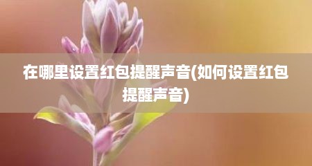 在哪里设置红包提醒声音(如何设置红包提醒声音)