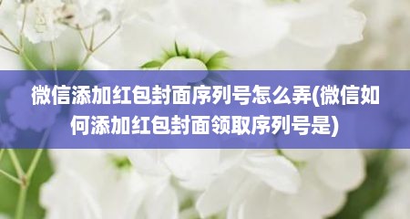 微信添加红包封面序列号怎么弄(微信如何添加红包封面领取序列号是)