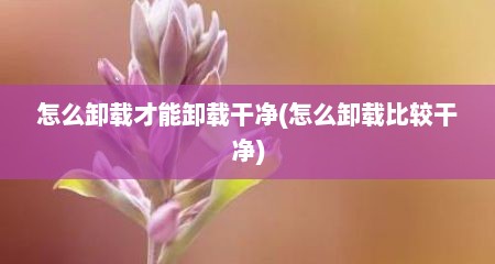 怎么卸载才能卸载干净(怎么卸载比较干净)