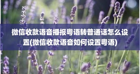 微信收款语音播报粤语转普通话怎么设置(微信收款语音如何设置粤语)