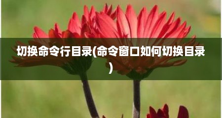切换命令行目录(命令窗口如何切换目录)
