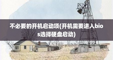 不必要的开机启动项(开机需要进入bios选择硬盘启动)