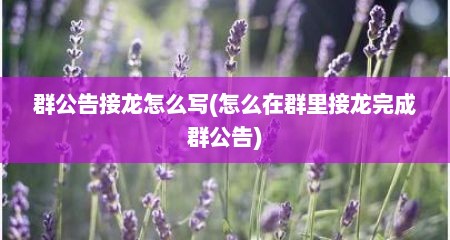 群公告接龙怎么写(怎么在群里接龙完成群公告)