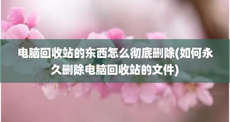 电脑回收站的东西怎么彻底删除(如何永久删除电脑回收站的文件)