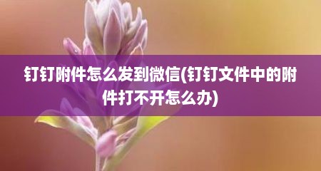 钉钉附件怎么发到微信(钉钉文件中的附件打不开怎么办)