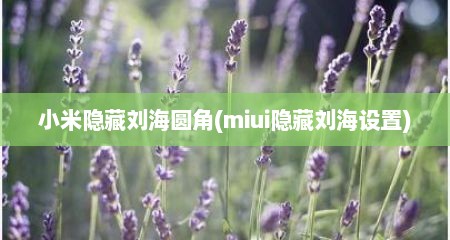 小米隐藏刘海圆角(miui隐藏刘海设置)