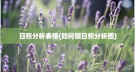 日照分析表格(如何做日照分析图)