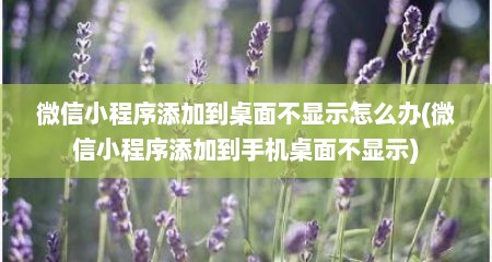 微信小程序添加到桌面不显示怎么办(微信小程序添加到手机桌面不显示)