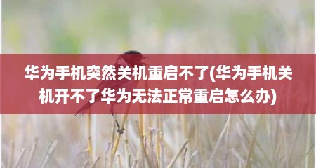 华为手机突然关机重启不了(华为手机关机开不了华为无法正常重启怎么办)