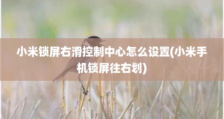 小米锁屏右滑控制中心怎么设置(小米手机锁屏往右划)
