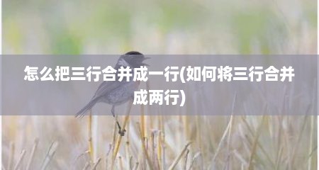 怎么把三行合并成一行(如何将三行合并成两行)