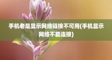 手机老是显示网络链接不可用(手机显示网络不能连接)