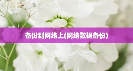 备份到网络上(网络数据备份)