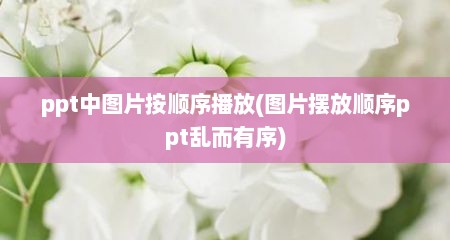 ppt中图片按顺序播放(图片摆放顺序ppt乱而有序)