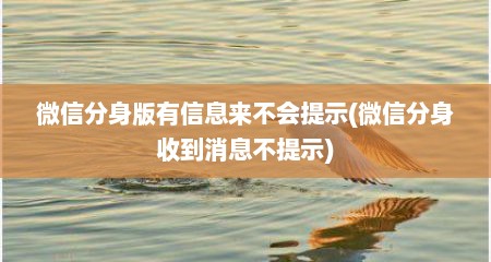 微信分身版有信息来不会提示(微信分身收到消息不提示)