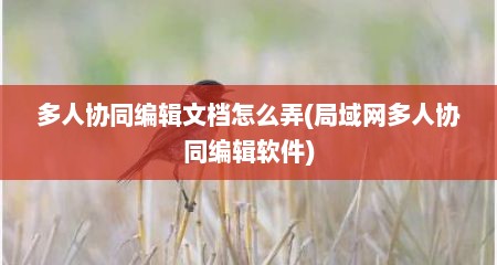 多人协同编辑文档怎么弄(局域网多人协同编辑软件)