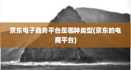 京东电子商务平台是哪种类型(京东的电商平台)